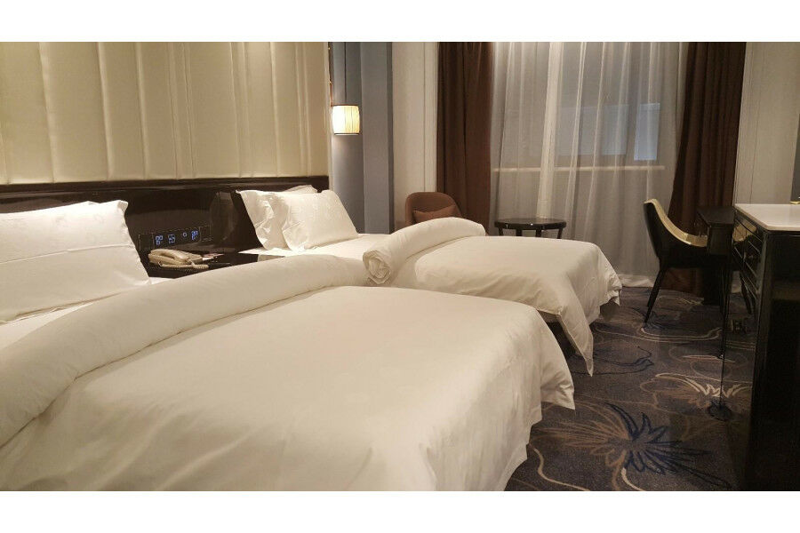 Jinjiang Metropolo Nanjing Confucius Temple Center Hotel 외부 사진