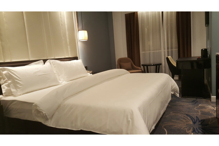 Jinjiang Metropolo Nanjing Confucius Temple Center Hotel 외부 사진