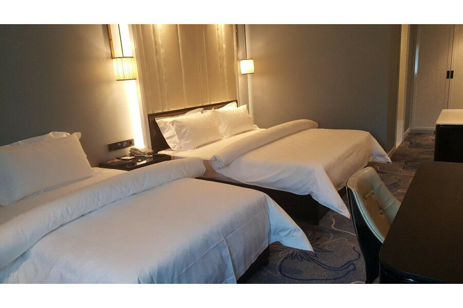Jinjiang Metropolo Nanjing Confucius Temple Center Hotel 외부 사진